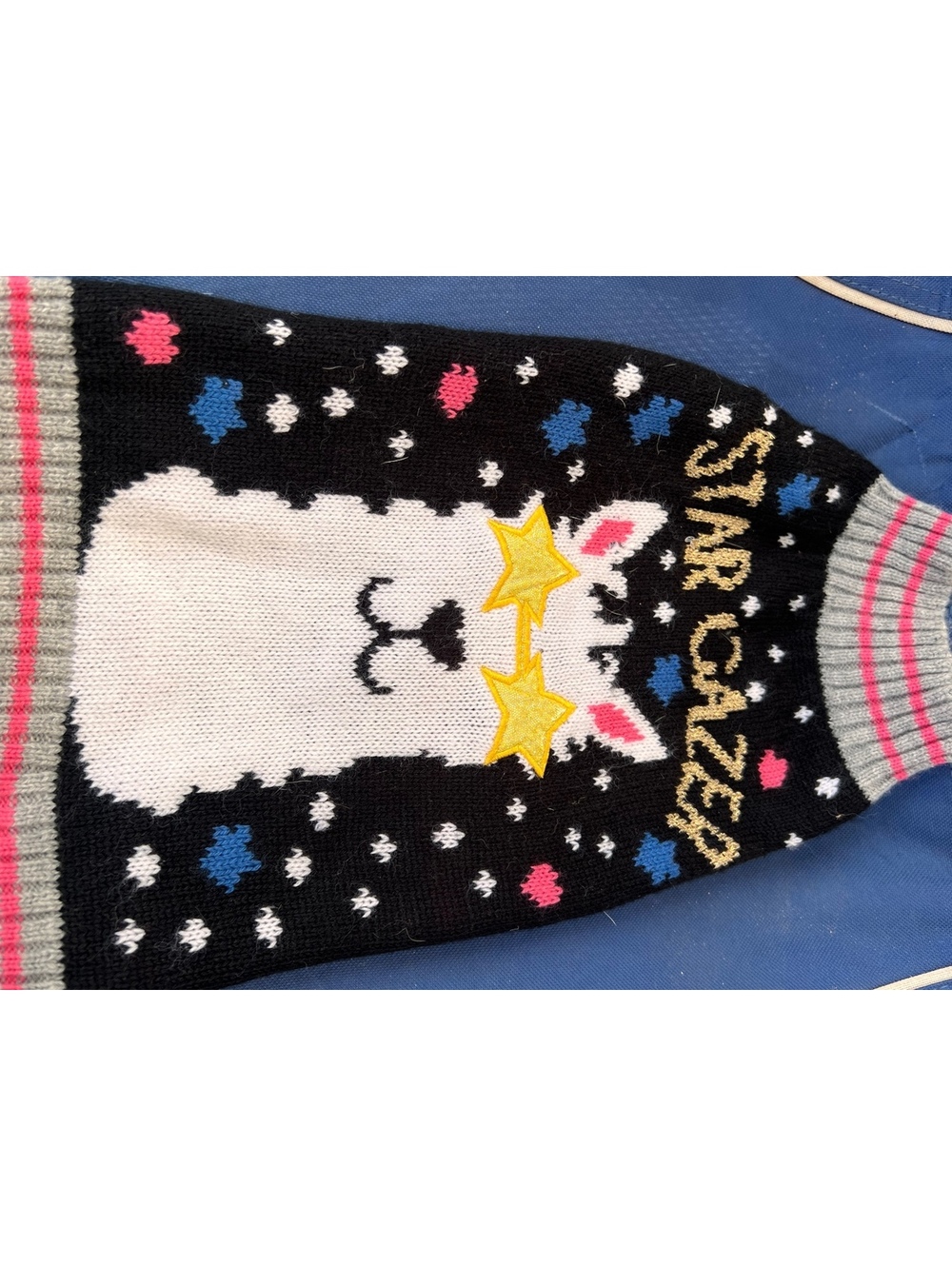 Vibrant Life Star Llama Dog Sweater Small